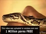 порно видео 5 мин.  Змея обнивзрослая
раздел(ы): Грубое порно
добавлено: 2 мая 2012
